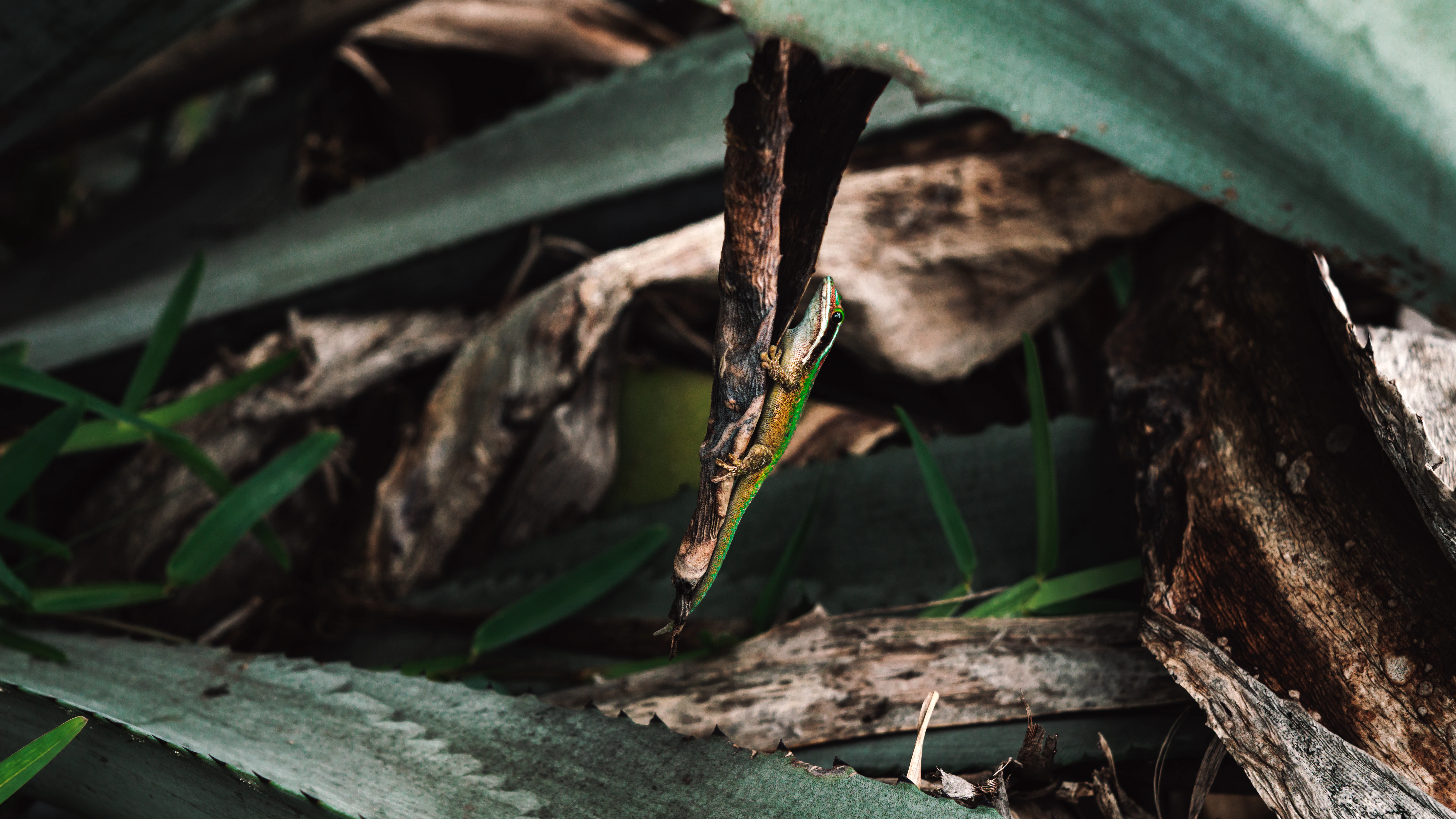 Photographie professionnelle 13 - Alejo Facto