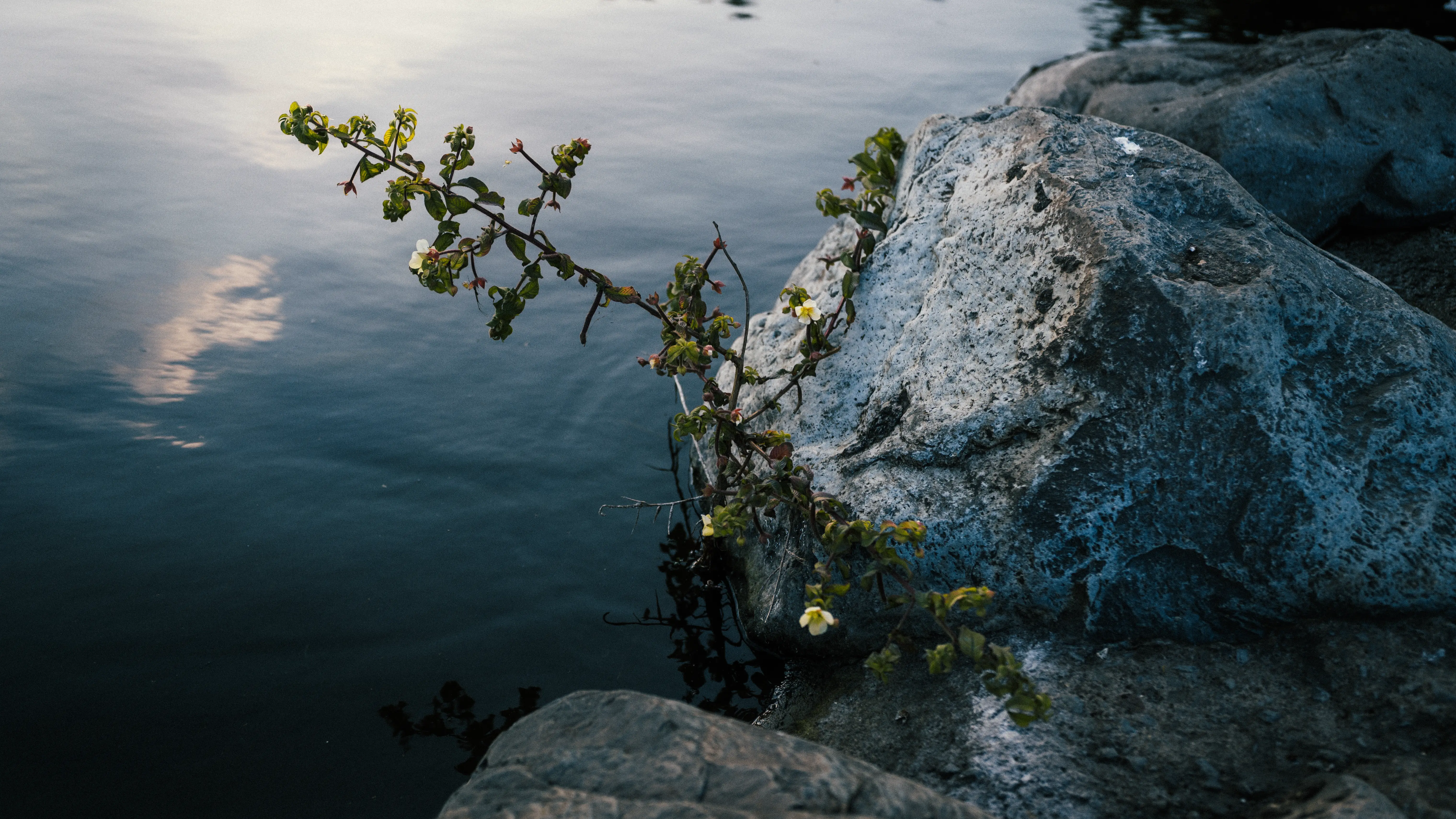 Photographie professionnelle 3 - Alejo Facto