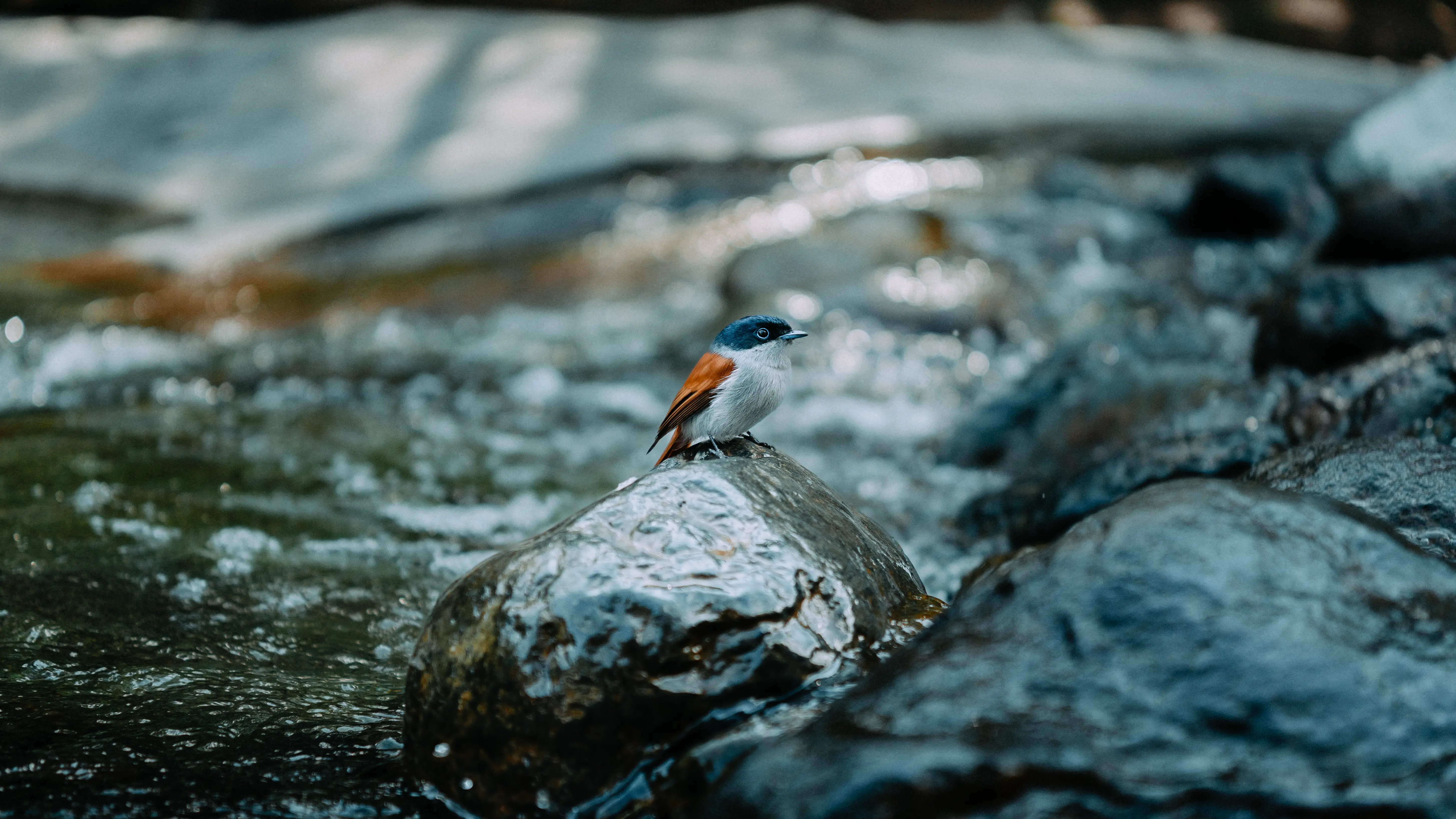 Photographie professionnelle 4 - Alejo Facto